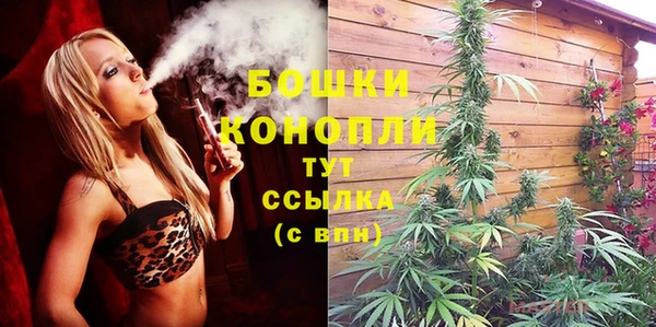 метадон Сатка