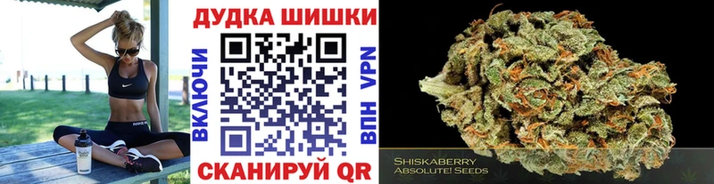 Канабис план  Бирюч 